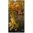 thumbnail image 1 of Trademark Fine Art "Autumn Branches" Canvas Art by Kurt Shaffer, 1 of 4