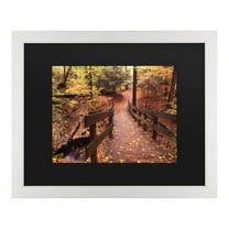 Trademark Fine Art 'Autumn Bridge' Canvas Art by Kurt Shaffer