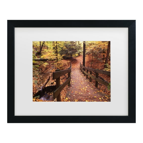 Trademark Fine Art 'Autumn Bridge' Canvas Art by Kurt Shaffer