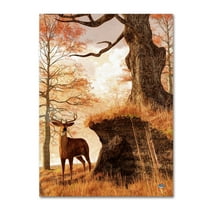 Trademark Fine Art 'Autumn Buck' Canvas Art by Daniel Eskridge