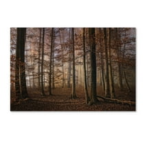 Trademark Fine Art 'Autumn' Canvas Art by Norbert Maier