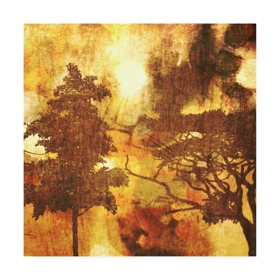 Trademark Fine Art 'Autumn Colored I' Canvas Art by Irena Orlov