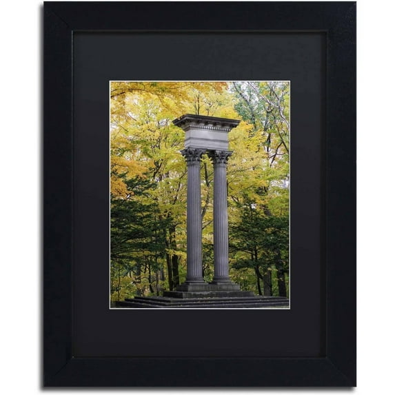 Trademark Fine Art "Autumn Columns" Canvas Art by Kurt Shaffer, Black Matte, Black Frame