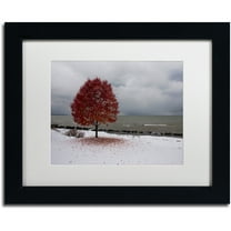 Trademark Fine Art "Autumn Contrast on the Lake" Canvas Art by Kurt Shaffer, White Matte, Black Frame