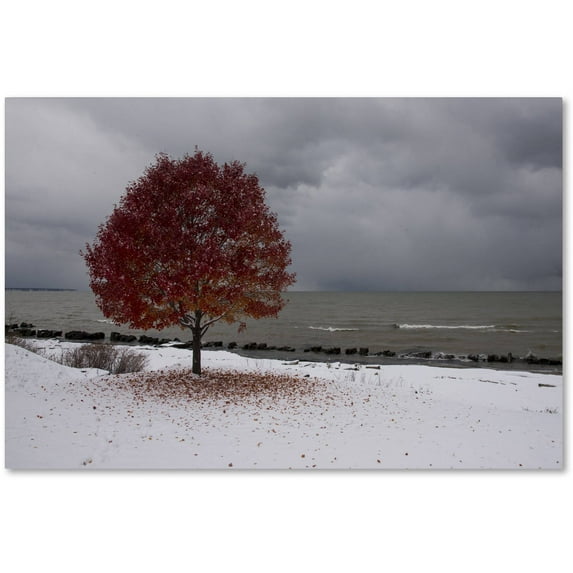 Trademark Fine Art "Autumn Contrast on the Lake" Canvas Art by Kurt Shaffer