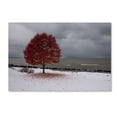 thumbnail image 1 of Trademark Fine Art "Autumn Contrast on the Lake" Canvas Art by Kurt Shaffer, 1 of 1