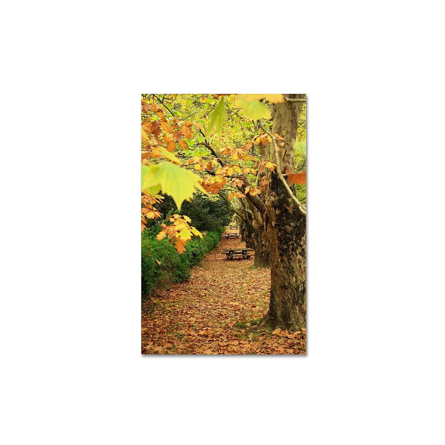 Trademark Fine Art "Autumn Conversations" Canvas Art by Beata Czyzowska Young
