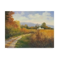 Trademark Fine Art 'Autumn Country Road' Canvas Art by Mary Jean Weber