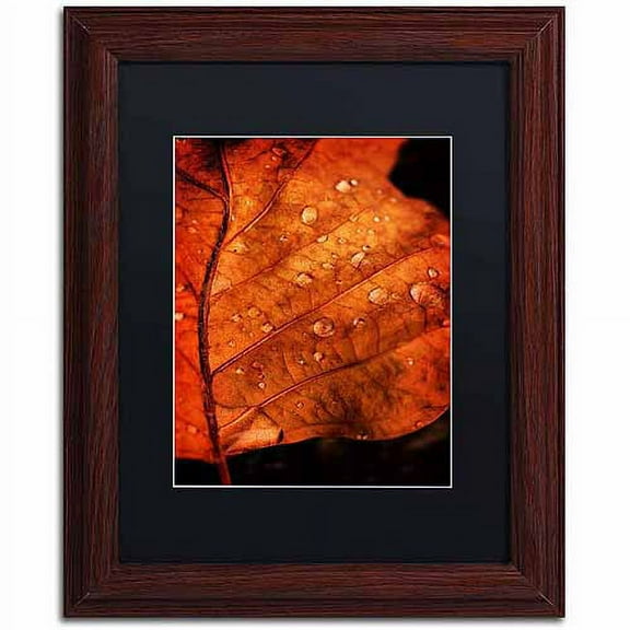 Trademark Fine Art "Autumn Droplets" Canvas Art by Philippe Sainte-Laudy, Black Matte, Wood Frame