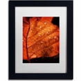 thumbnail image 1 of Trademark Fine Art "Autumn Droplets" Canvas Art by Philippe Sainte-Laudy, White Matte, Black Frame, 1 of 4