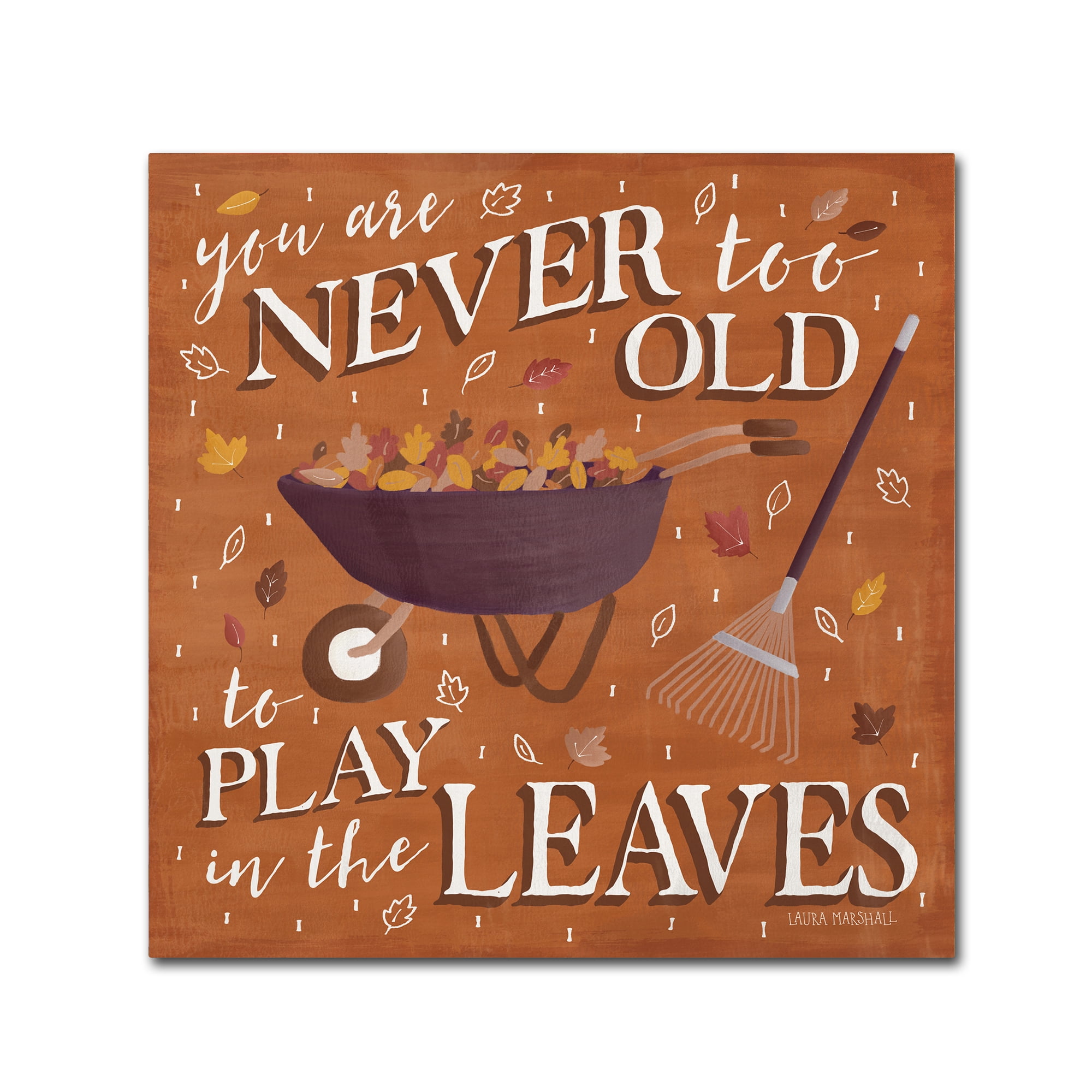 Trademark Fine Art 'Autumn Enchantment VII' Canvas Art by Laura Marshall