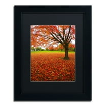 Trademark Fine Art "Autumn Expressions" Canvas Art by CATeyes, Black Matte, Black Frame
