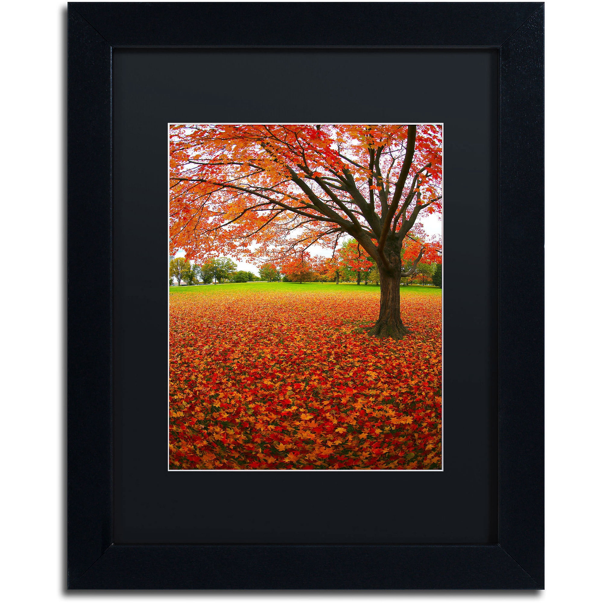 Trademark Fine Art "Autumn Expressions" Canvas Art by CATeyes, Black Matte, Black Frame