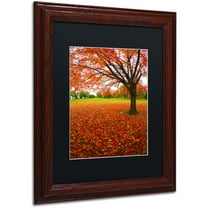 Trademark Fine Art "Autumn Expressions" Canvas Art by CATeyes, Black Matte, Wood Frame