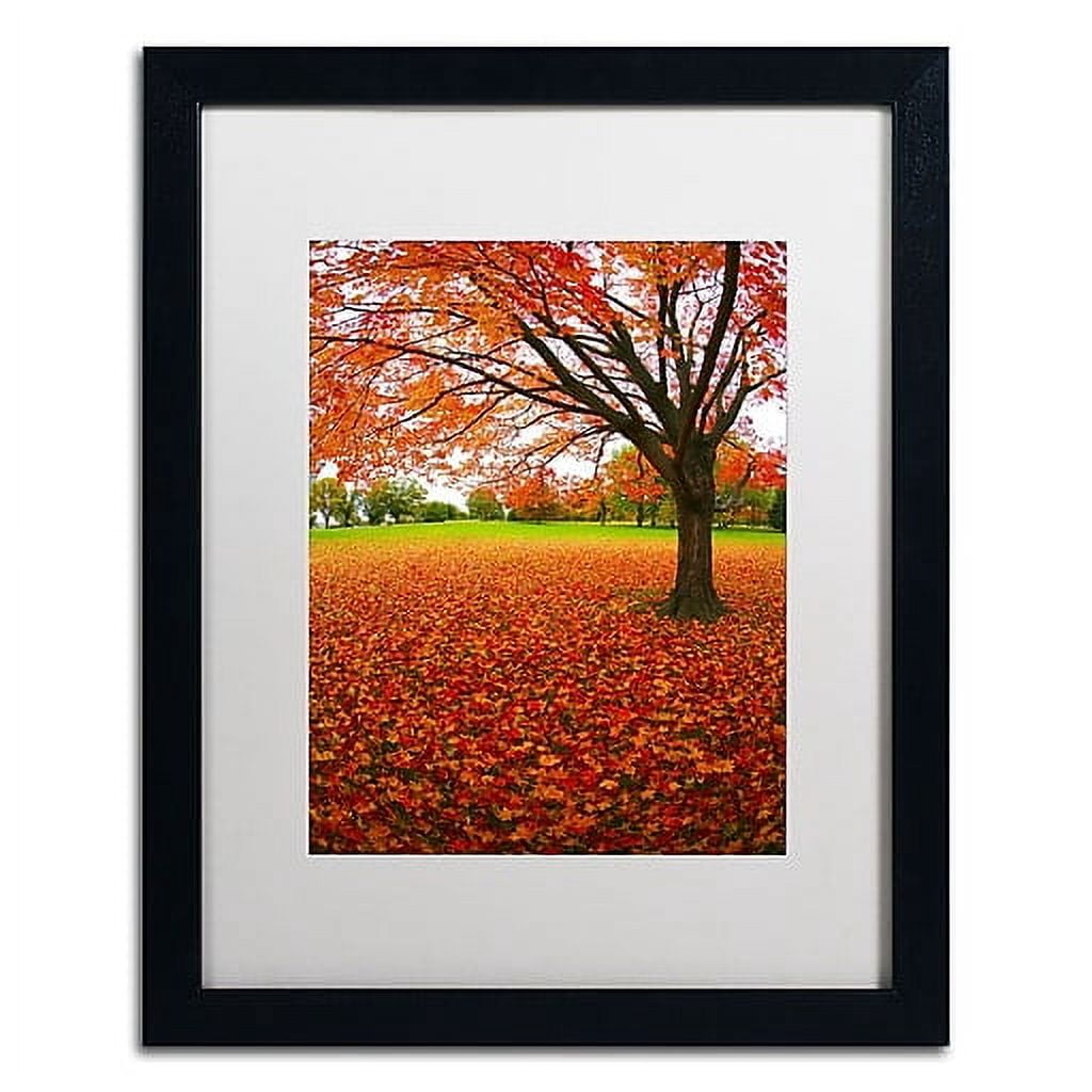 Trademark Fine Art "Autumn Expressions" Canvas Art by CATeyes, White Matte, Black Frame