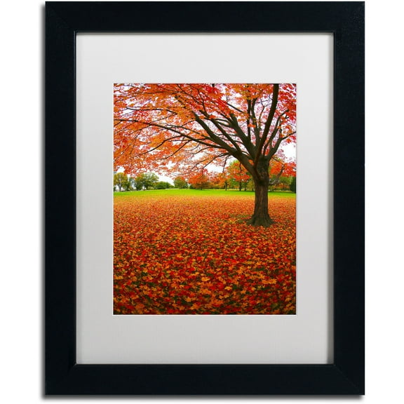 Trademark Fine Art "Autumn Expressions" Canvas Art by CATeyes, White Matte, Black Frame