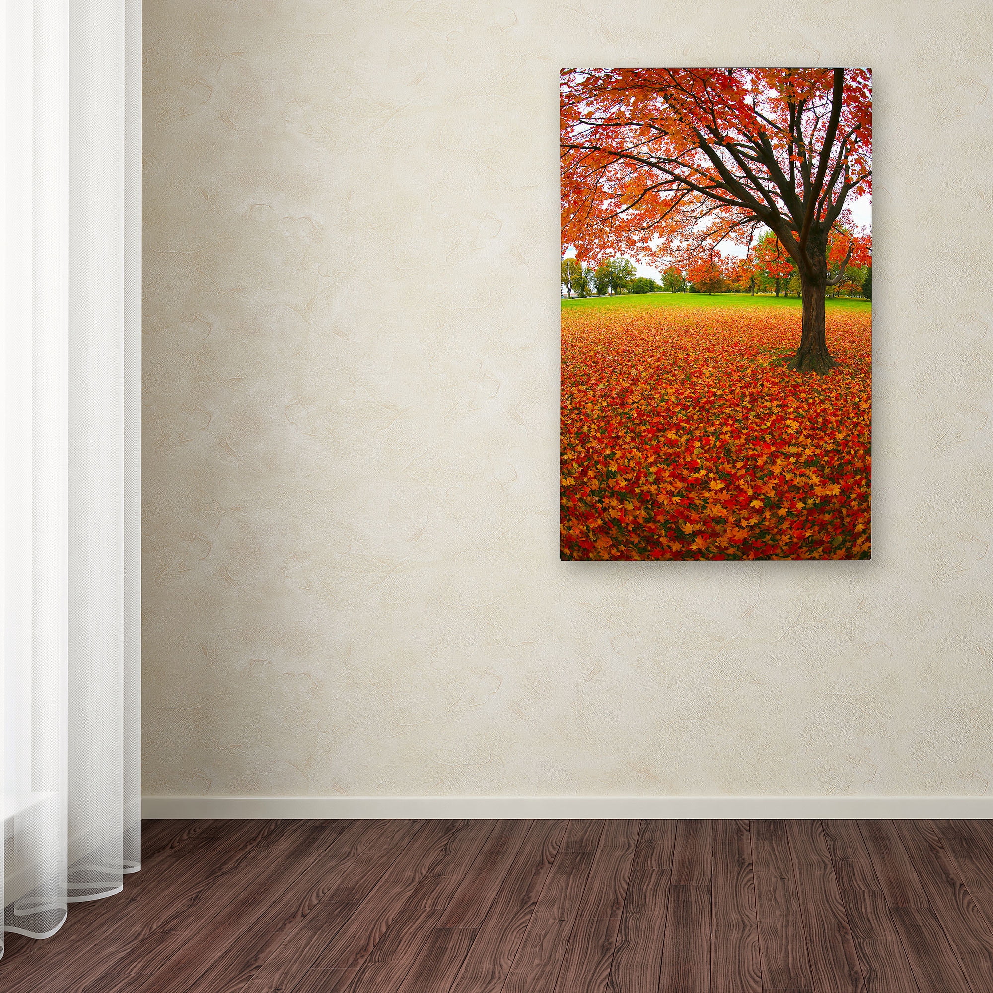 Trademark Fine Art "Autumn Expressions" Canvas Art by CATeyes