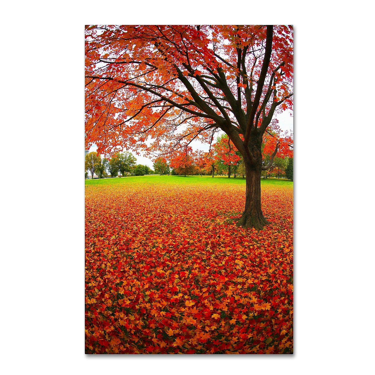 Autumn Expressions Framed Canvas Landscape Art in Red and Orange