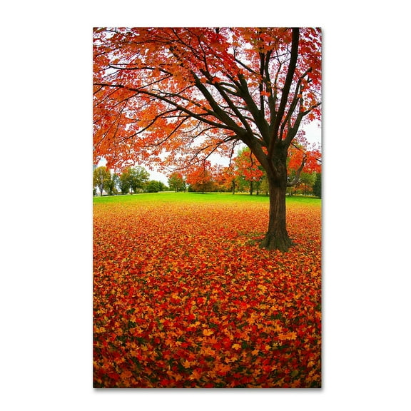 Trademark Fine Art "Autumn Expressions" Canvas Art by CATeyes