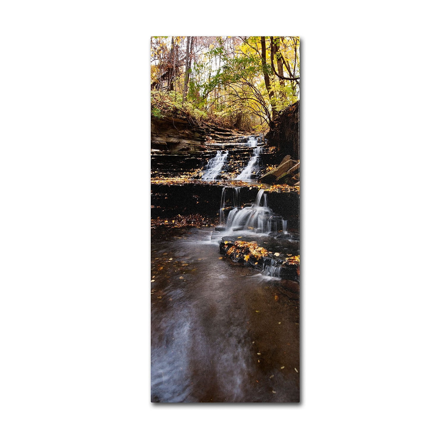 Trademark Fine Art "Autumn Falls" Canvas Art by Kurt Shaffer