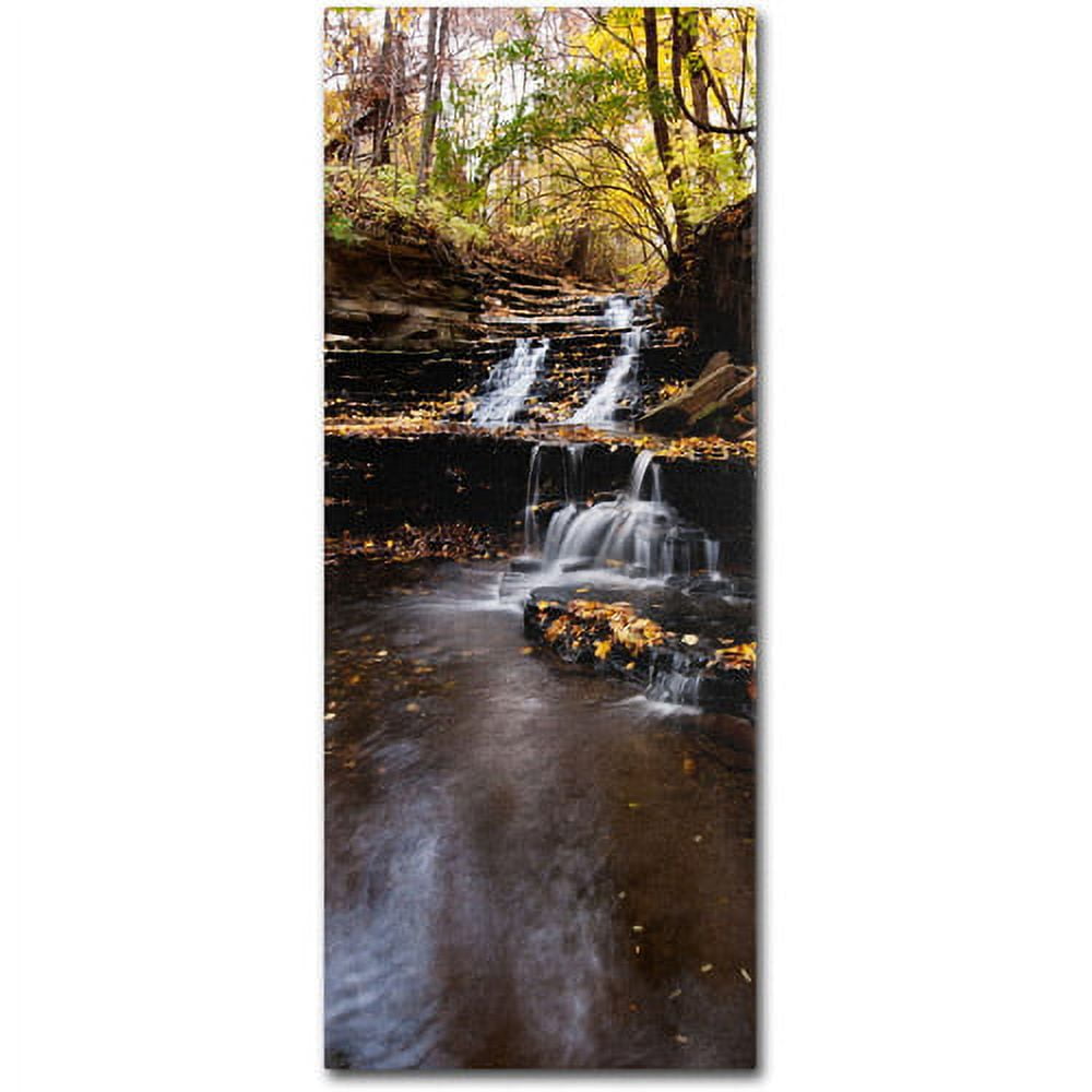 Autumn Falls Landscape Canvas Art in Warm Tones