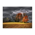 thumbnail image 1 of Trademark Fine Art "Autumn Field" Canvas Art by Lois Bryan, 1 of 1