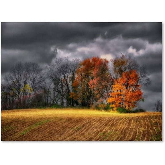 Trademark Fine Art "Autumn Field" Canvas Art by Lois Bryan