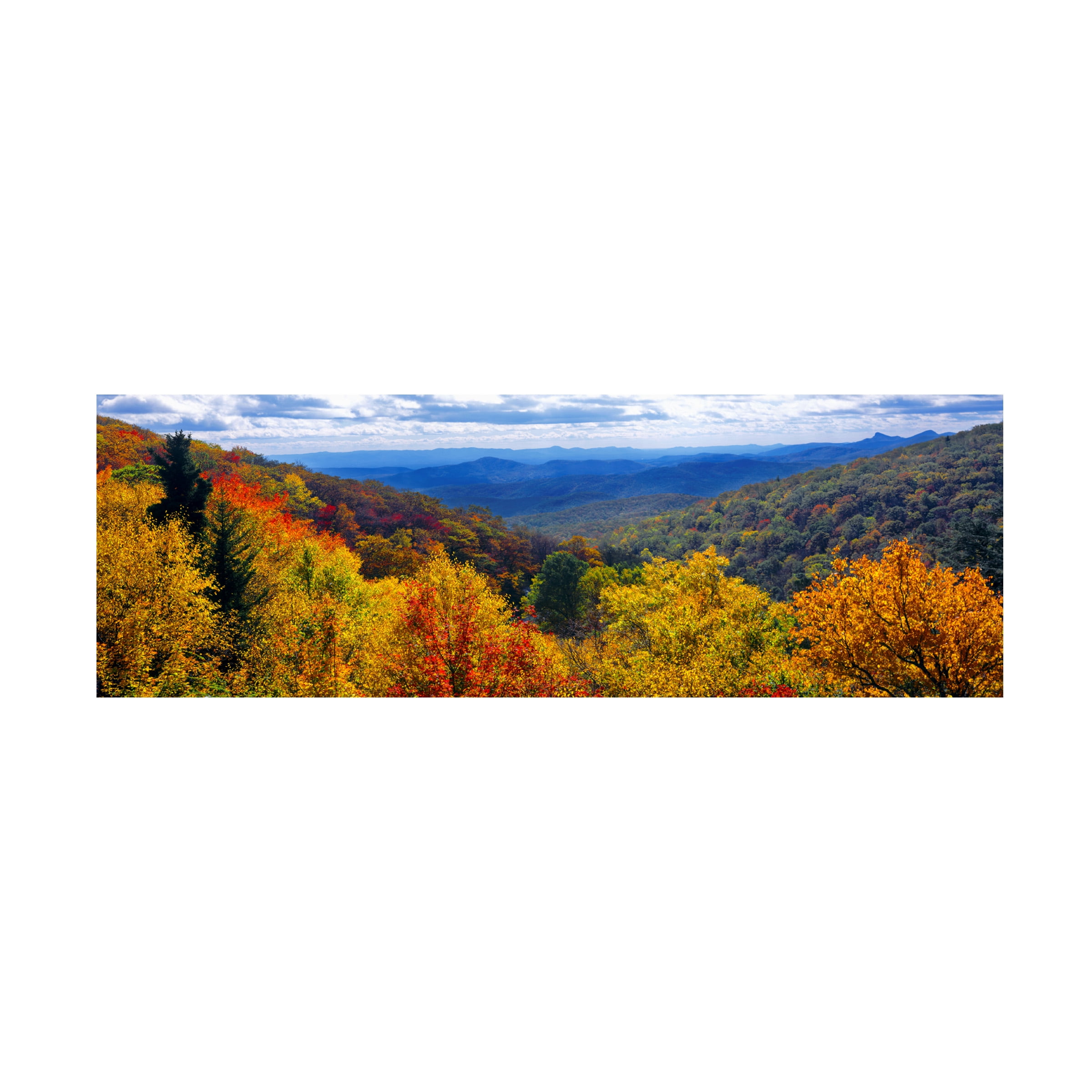 Trademark Fine Art 'Autumn Forest' Canvas Art by Doug Cavanah