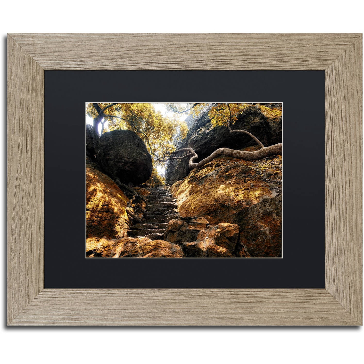 Trademark Fine Art "Autumn Forest" Canvas Art by Philippe Hugonnard, Black Matte, Birch Frame
