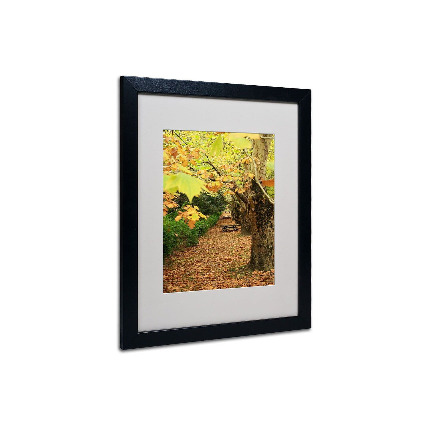 Autumn Landscape Framed Canvas Print in Black Frame