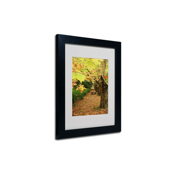 Trademark Fine Art "Autumn" Framed Canvas Art by Beata Czyzowska Young