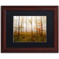 thumbnail image 1 of Trademark Fine Art "Autumn Go Fast" Canvas Art by Philippe Sainte-Laudy Black Matte, Wood Frame, 1 of 5