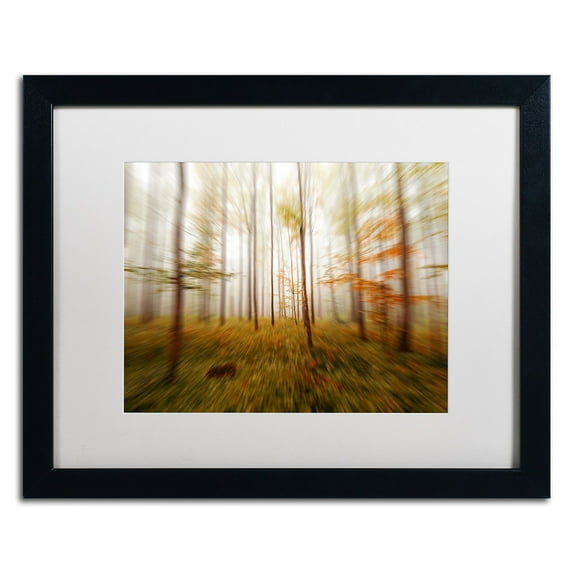 Trademark Fine Art ''Autumn Go Fast'' by Philippe Sainte-Laudy 16" x 20" White Matted Black Frame