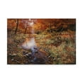 thumbnail image 1 of Trademark Fine Art 'Autumn Gold River' Canvas Art by Bill Makinson, 1 of 3