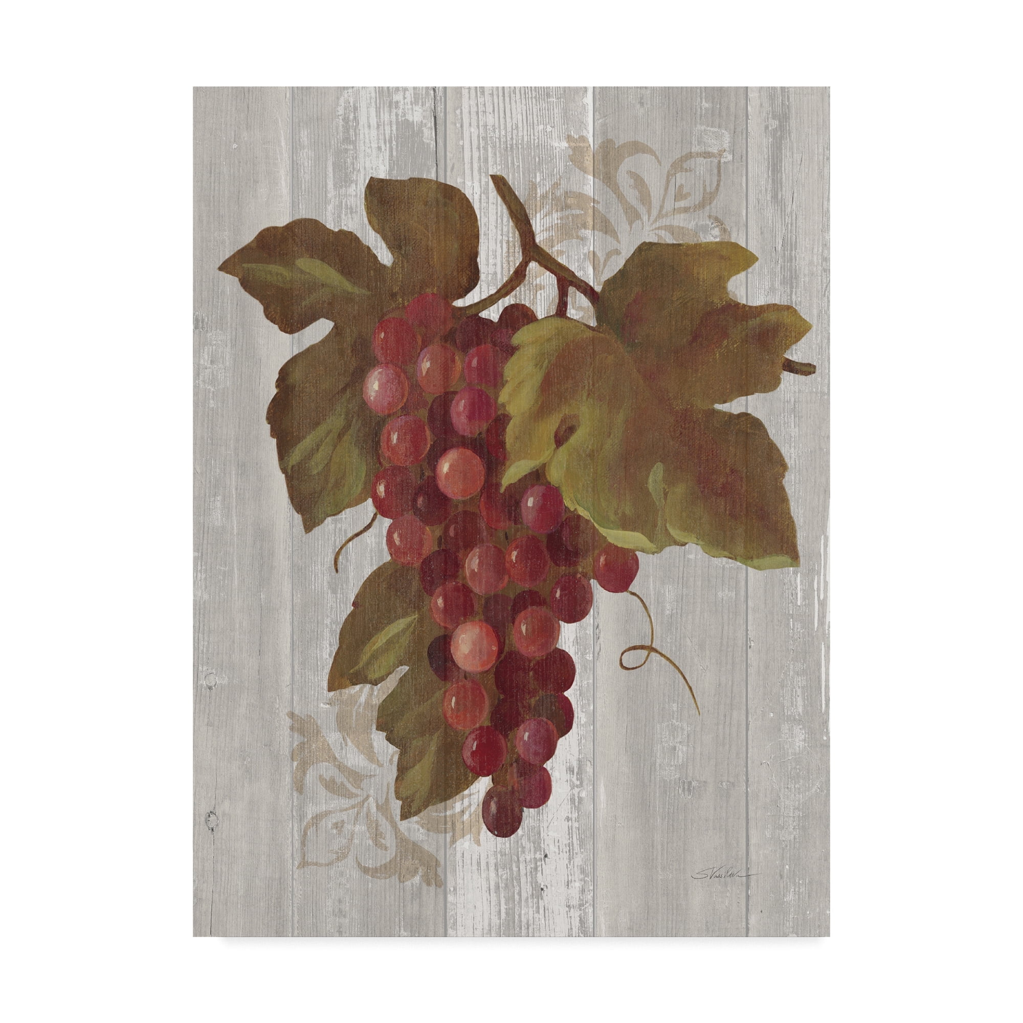 Trademark Fine Art 'Autumn Grapes III on Wood' Canvas Art by Silvia Vassileva