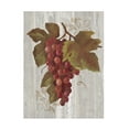 thumbnail image 1 of Trademark Fine Art 'Autumn Grapes III on Wood' Canvas Art by Silvia Vassileva, 1 of 4
