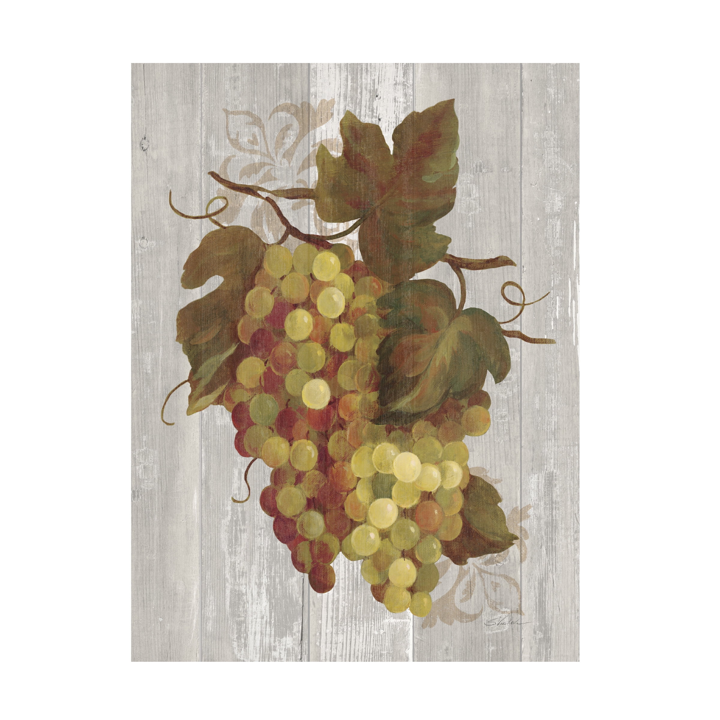 Trademark Fine Art 'Autumn Grapes IV on Wood' Canvas Art by Silvia Vassileva
