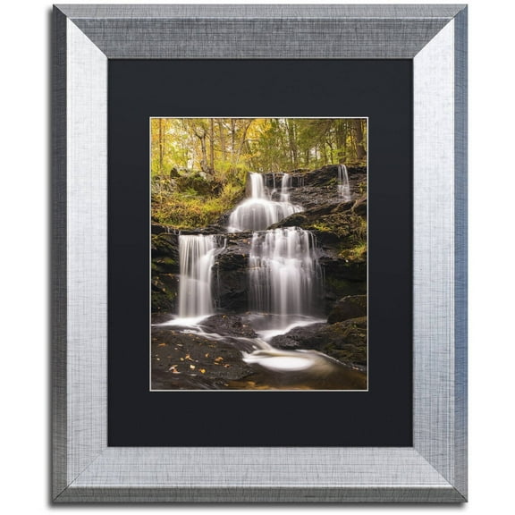 Trademark Fine Art 'Autumn Horsetails' Canvas Art by Michael Blanchette Photography, Black Matte, Silver Frame