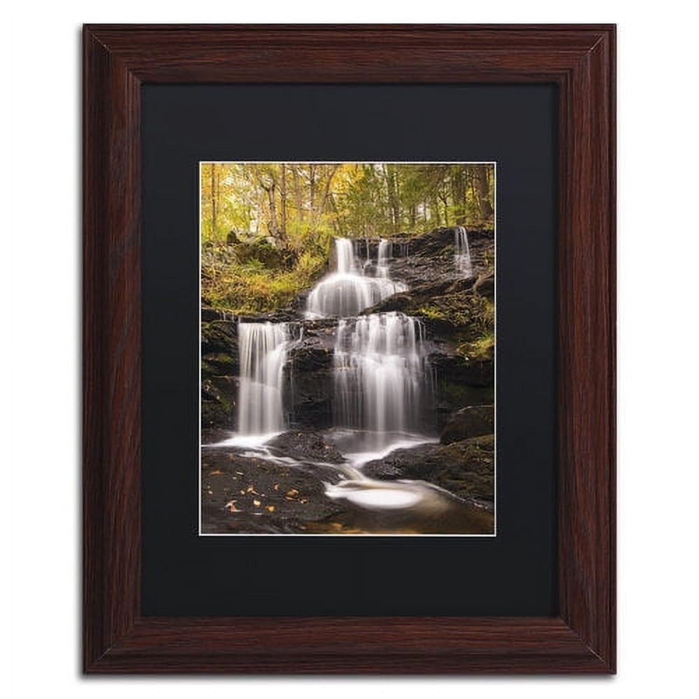Trademark Fine Art 'Autumn Horsetails' Canvas Art by Michael Blanchette Photography, Black Matte, Wood Frame