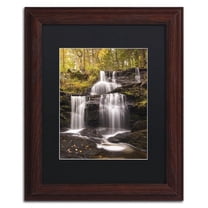 Trademark Fine Art 'Autumn Horsetails' Canvas Art by Michael Blanchette Photography, Black Matte, Wood Frame