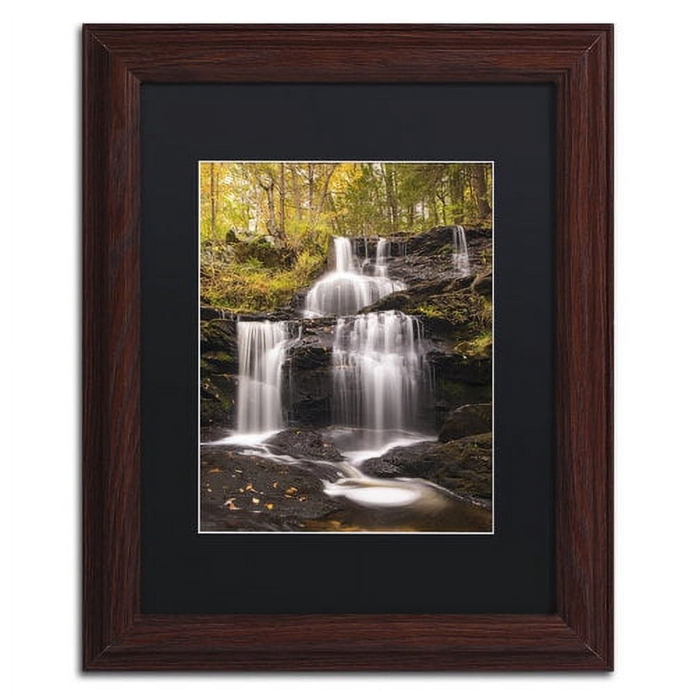 Trademark Fine Art 'Autumn Horsetails' Canvas Art by Michael Blanchette Photography, Black Matte, Wood Frame