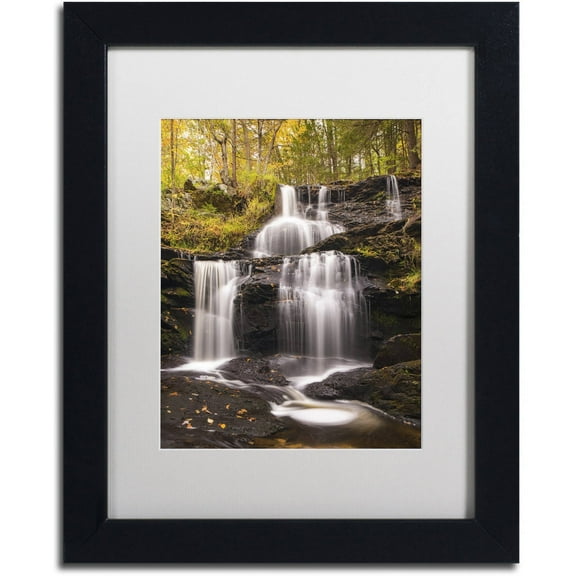 Trademark Fine Art 'Autumn Horsetails' Canvas Art by Michael Blanchette Photography, White Matte, Black Frame