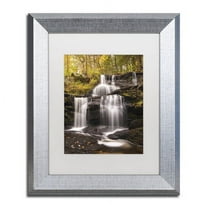 Trademark Fine Art 'Autumn Horsetails' Canvas Art by Michael Blanchette Photography, White Matte, Silver Frame