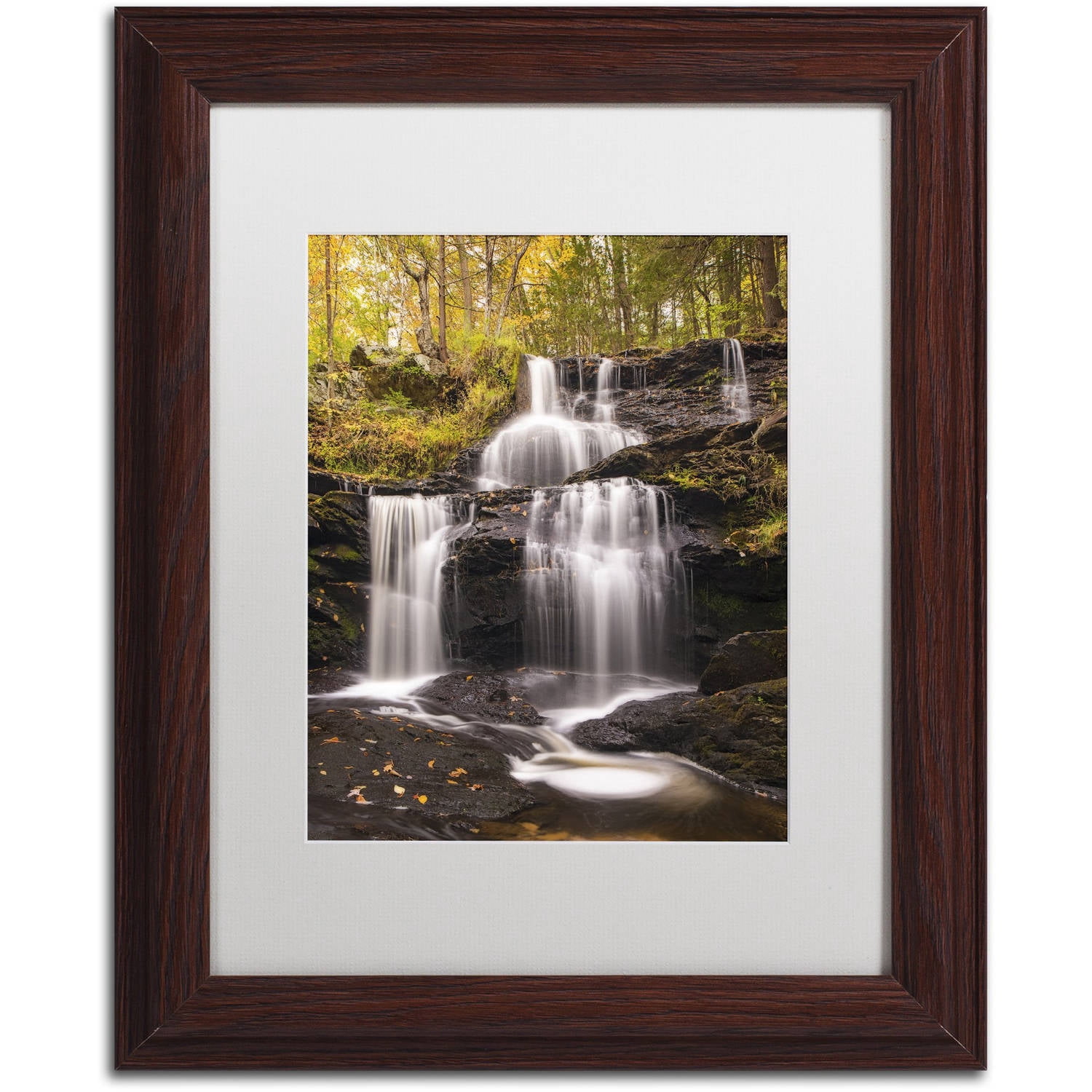 Trademark Fine Art 'Autumn Horsetails' Canvas Art by Michael Blanchette Photography, White Matte, Wood Frame