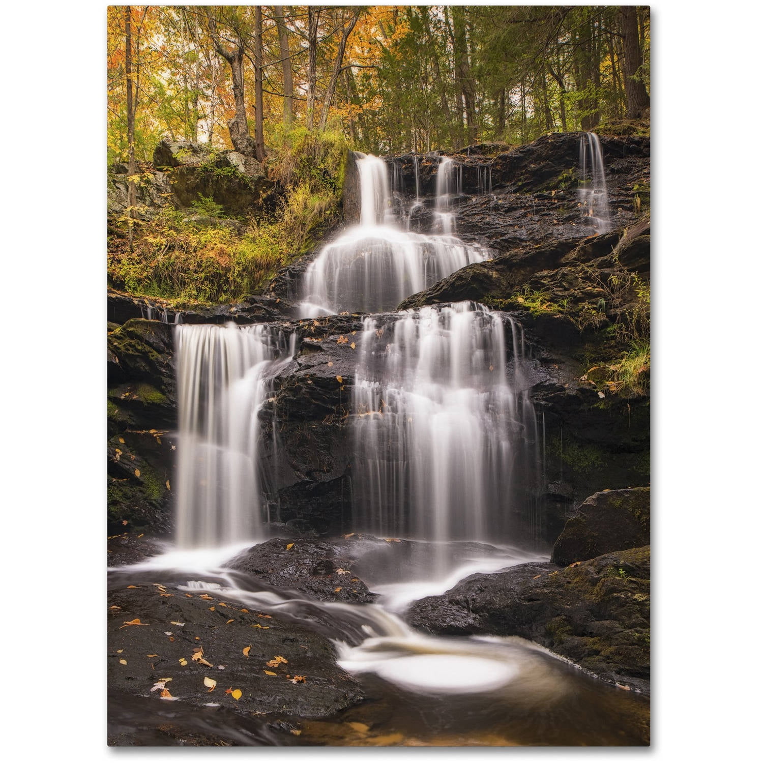 Trademark Fine Art 'Autumn Horsetails' Canvas Art by Michael Blanchette Photography