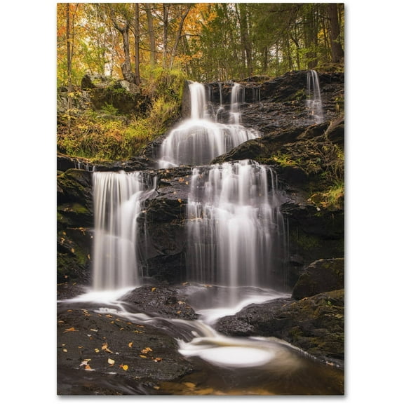 Trademark Fine Art 'Autumn Horsetails' Canvas Art by Michael Blanchette Photography