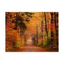 Trademark Fine Art 'Autumn Leaf Road' Canvas Art by David Hammond