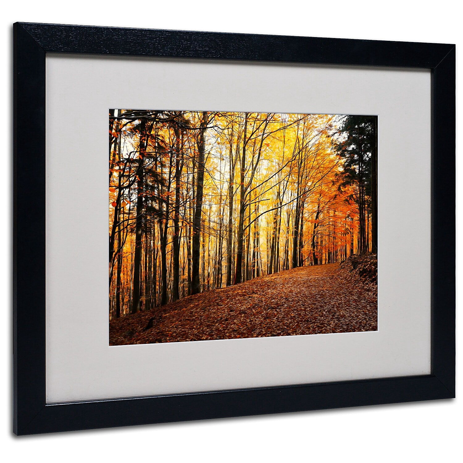 Trademark Fine Art "Autumn Leaves" Canvas Art by Philippe Sainte-Laudy, Black Frame
