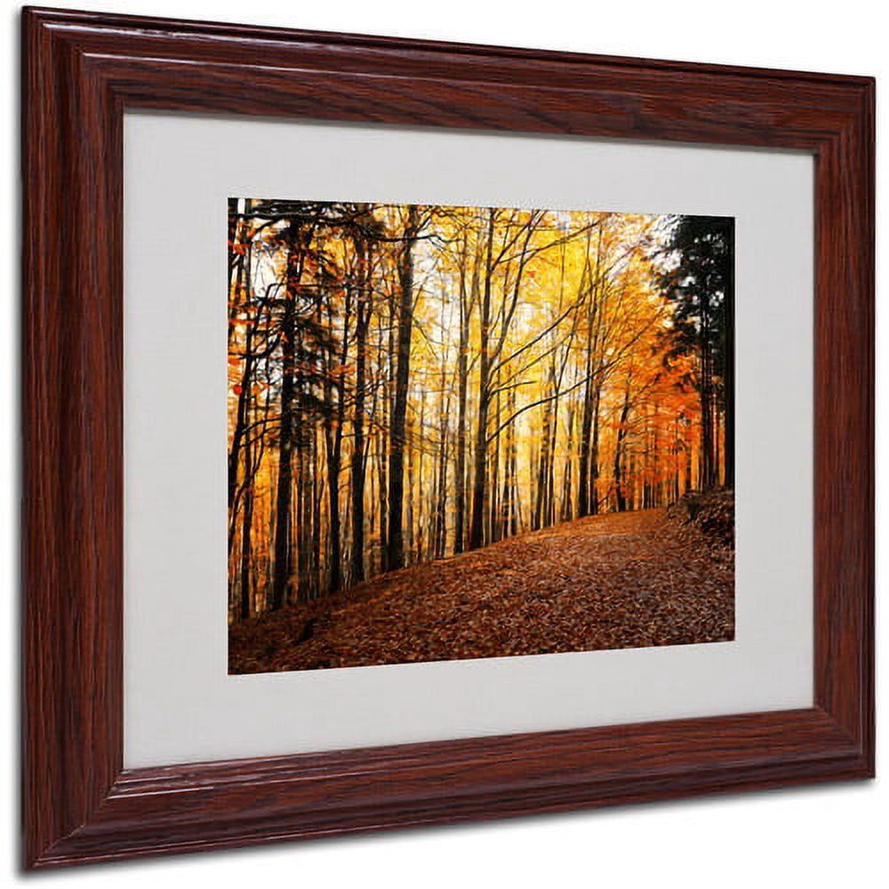 Trademark Fine Art "Autumn Leaves" Canvas Art by Philippe Sainte-Laudy, Wood Frame