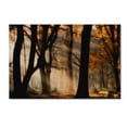 thumbnail image 1 of Trademark Fine Art 'Autumn Light' Canvas Art by Jan Paul Kraaij, 1 of 3